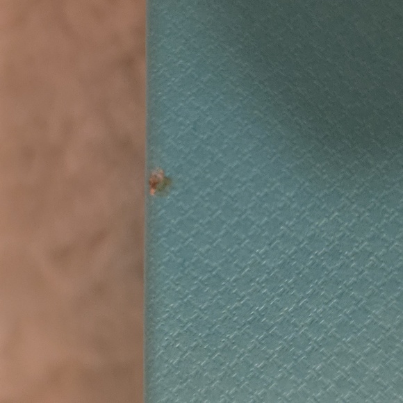 Tiffany & Co Sunglasses Box - Picture 4 of 4